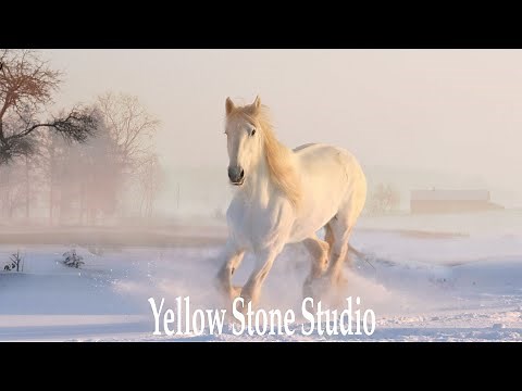 musique chevaux relaxation