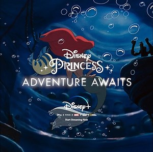 130K views · 1.3K reactions | Be a part of Ariel's journey and rediscover The Little Mermaid now on Disney+ #DisneyPrincessAdventure | Disney Princess | Facebook