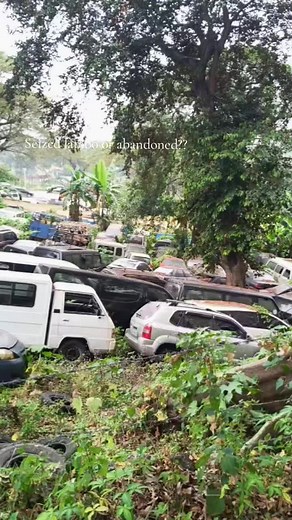 Rip this Lamborghini Diablo, what could be the main reason that this is where it is now #abandoned #seized #lamborghini #diablo #NBI