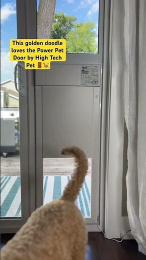 The Smart Pet Door Your Home Needs 🐶✨ | Try 90 Days Risk-Free”