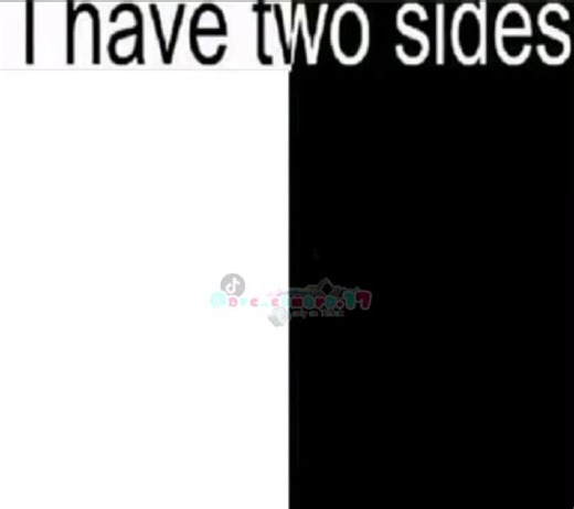 these two never being different😭😭 #tokusatsu #kamenrider #supersentai #fyp
