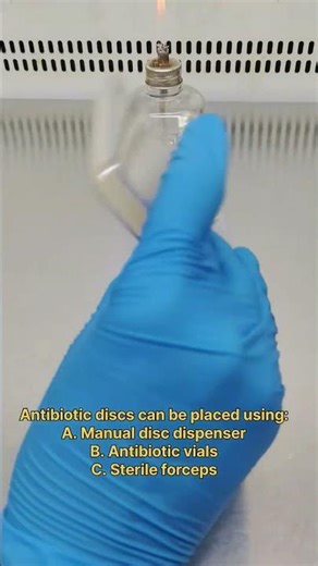 How to Perform an Antibiogram|Antibitic Susceptibility Testing| Step-by-Step Kirby Bauer Method✨🥼🦠
