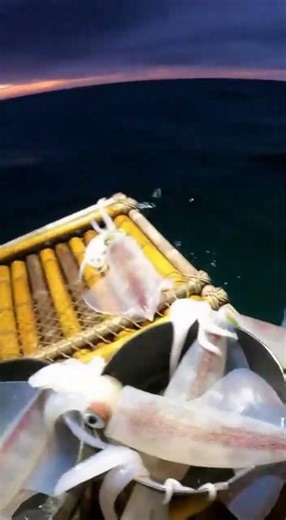 Squid Flood the Raft… Then a Great White Hits!