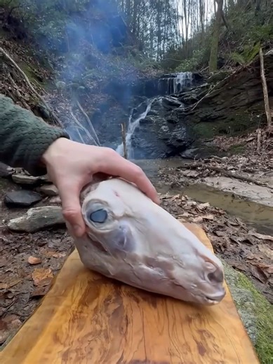 Outdoor Cooking in the Forest: Nature's Culinary Escape