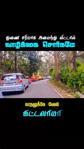 வாழ்கைதுணை சரியாக அமைந்துவிட்டால் வாழ்கை சொர்கமே #love #travel #trending #shorts #viral