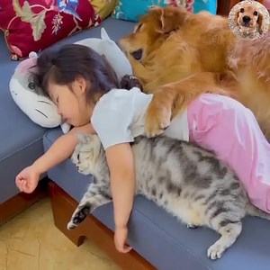 Peaceful weekend | Dogs World