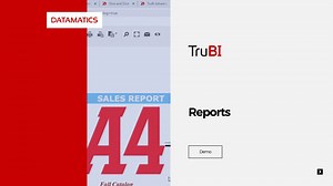 Demo Business Intelligence Report of TruBi