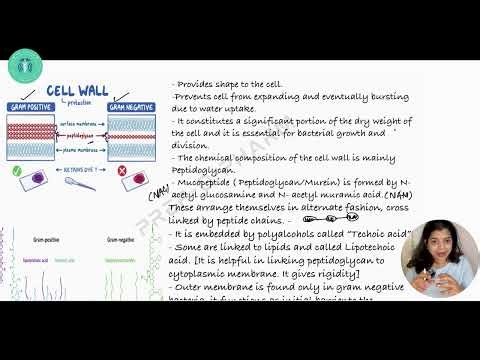 Bacterial Cell Structure Explained | Foundation of Microbiology & GPAT Prep