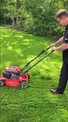 Husqvarna LB244E petrol mulching lawnmower with electric start during mulching!
