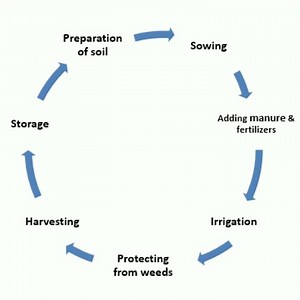 Agricultural practices || What are the 7 types of agricultural practices