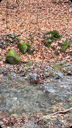 Rosie Naive Art on Reels