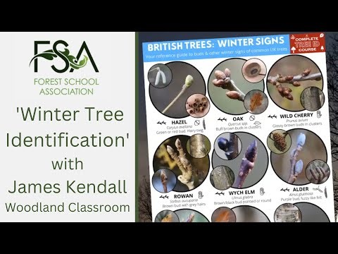 Winter Tree Identification - Webinar for Forest School