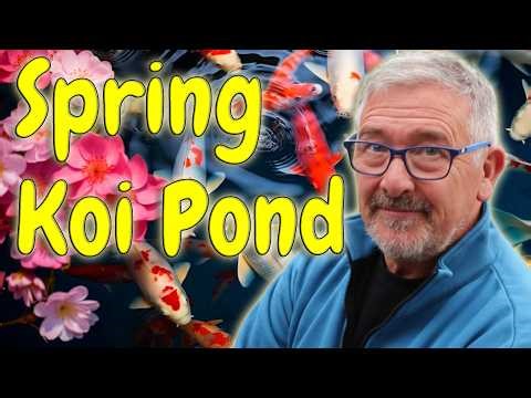 Spring Koi Pond Prep Begins! 🐟 Blanket Weed Battle, Fish Check & Must-Have Essentials!