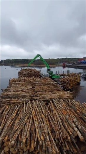 Loading of Wood Pulp - Watching how is the Performance of Sennebogen