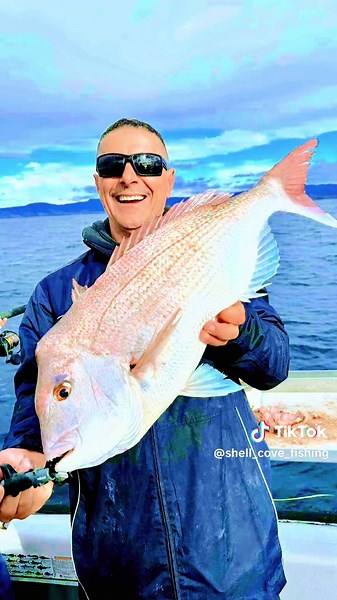 Bass Point Snapper Fishing Adventures