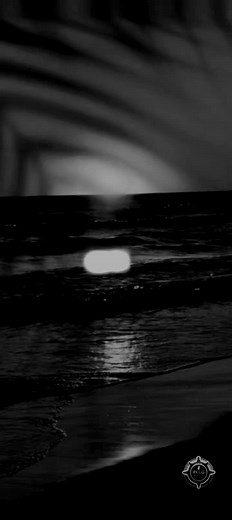 #butterfly_tunes🎧✨🦋 #fyp #plugvaultplus #edits #lyrics_songs