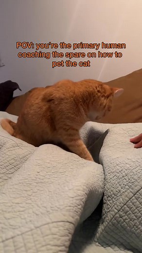 “aight imma head out” | Pennythegingercat