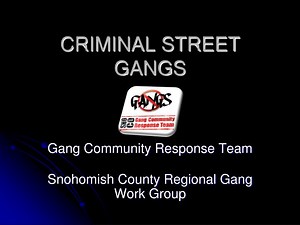 CRIMINAL STREET GANGS - SlideServe