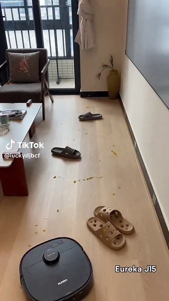 Essential Features of the Eureka J15 Robot Vacuum