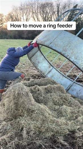 How to Move a Ring Feeder for Horse Feeding
