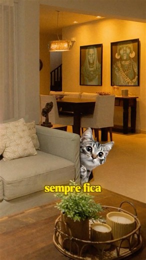 PRA ONDE O GATO VAI QUANTO TEM VISITA!?