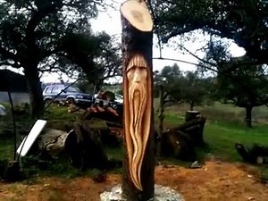 This tree wizard is another reason not to burn those logs... | The Owner-Builder Network