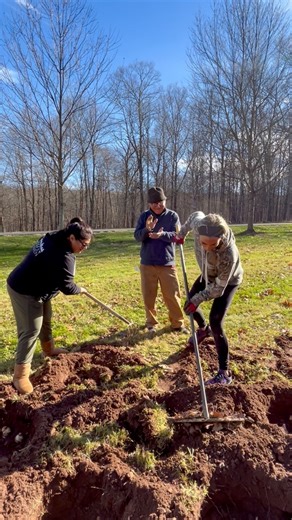 Members of the Long Hill Estate Authority, and Mansion Staff, spent the morning planting new daffodil bulbs in the front driveway fields. Thanks to the support and encouragement of our landscaper, Jim Landry, who was a great help, and cheerleader! We can’t wait to see all the new blooms come springtime! | Wadsworth Mansion at Long Hill Estate