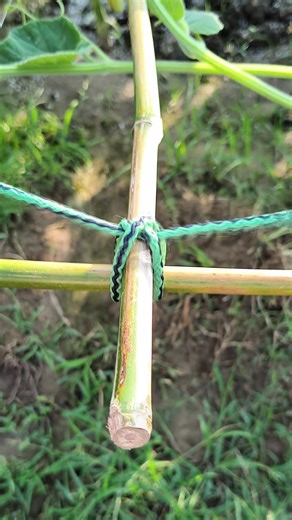 The knot used in Agricultural farms is very Effective and Reliable!!