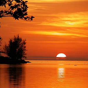 424K views · 148 reactions | Landscapes in Florida-USA. Kindly Rate from 1 to 10 Join us on www.facebook.com/theworldlandscapes | World Landscapes | Facebook