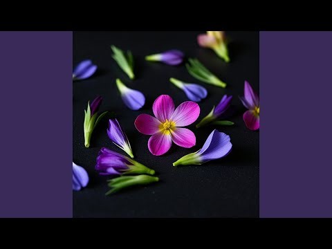 Explained Chlorophyll Consciousness