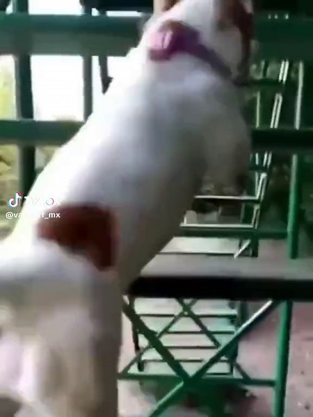 🫵🥶 #wenamechainasama