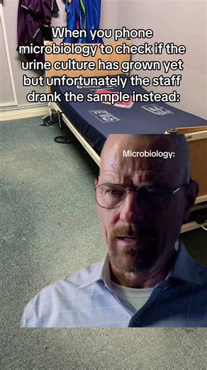 Medical Meme: When Microbiology Staff Drank the Urine Sample