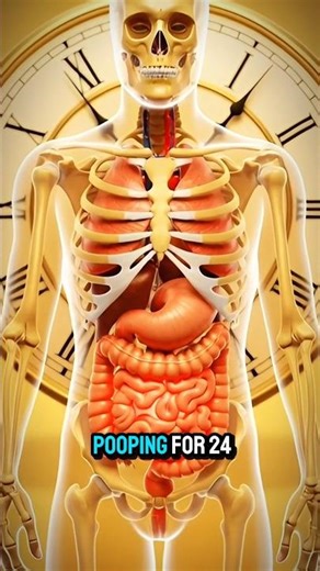 “What Happens If You Poop Nonstop for 24 Hours? #3d #interesting #nature #shorts