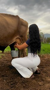 Kandy Alejandra 🤠 | Kandy Alejandra