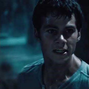 A Newcomer Breaks the Maze’s Deadly Rules | The Maze Runner (2014)#movie #film #recap