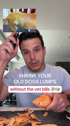 Natural Solutions for Shrinking Old Dog Lumps