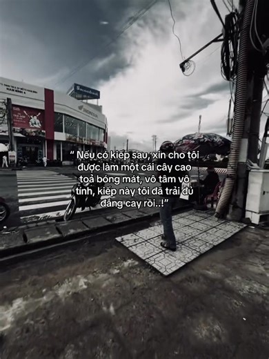 如果真有来生，愿做一棵高大的无情之树