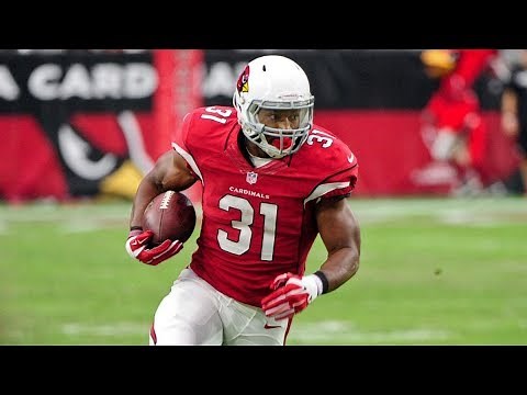 David Johnson FULL 2016 Highlights