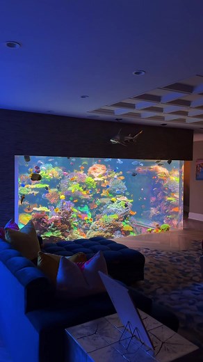 Exploring a 17,000 Gallon Saltwater Aquarium System