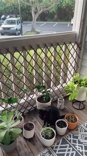 Jessica Gross (@jessicagross55)’s videos with original sound - Mikaela Bisson