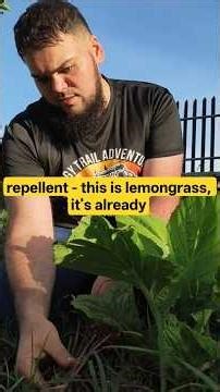 How I Grow Mustard Greens in Hot Philippines (Prevent Bolting Naturally)