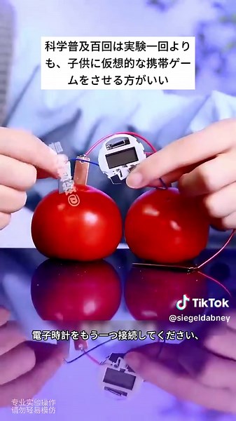 科学実験の驚き：家庭でできる楽しい実験集