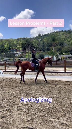 Overcoming Apologizing Habits in Dressage Training Sessions