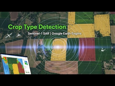 Crop Type Detection Using Sentinel-1 SAR Imagery in Google Earth Engine