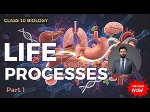 Life Processes in Humans & Plants | Full Biology Class for Class 10 #lifeprocesses #class10
