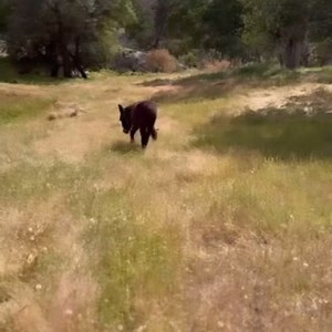 2.1K views · 1.1K reactions | Now back to our regularly scheduled...