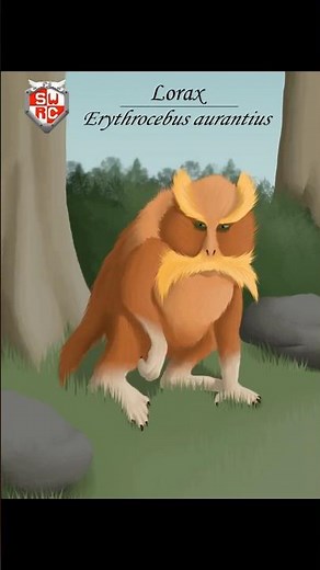 The Lorax Reimagined! (Speculative Biology) #drawing #lorax #speculative