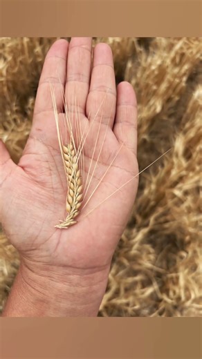 Out and About November! Recap