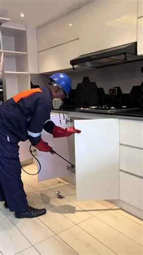 Cockroach Extermination Services for Your Space