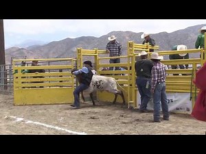 2018 Chute Dogging, Hot Rodeo